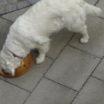DSC05660